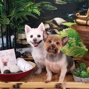 Meet your Posher, Craig